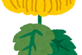 夢占い 死 死ぬ