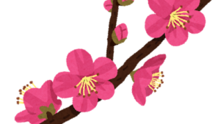 夢占い 梅の木